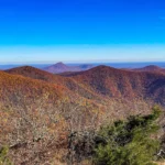 Georgia
